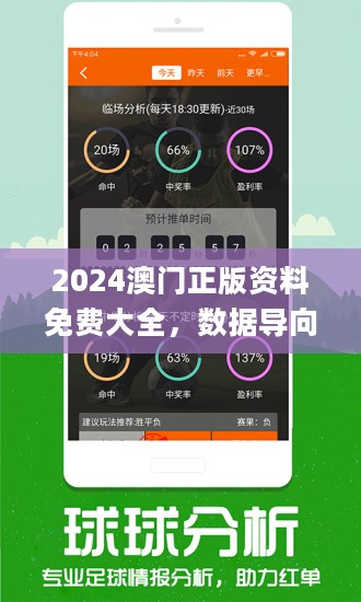 2024新澳门正版资料查询,科学释义解释落实