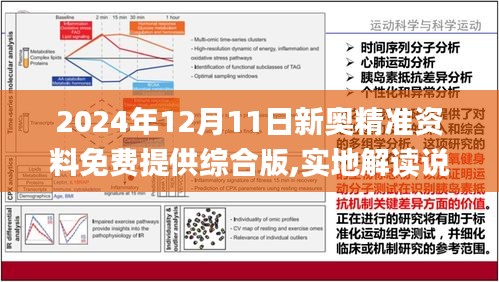 2024新奥精准正版资料,讲解词语解释释义