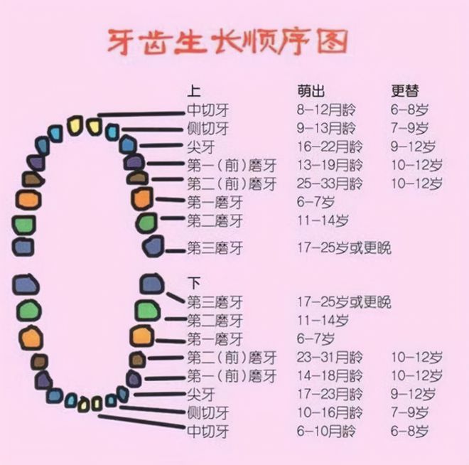 了解宝宝健康，3个月宝宝的正常大便图及其解读