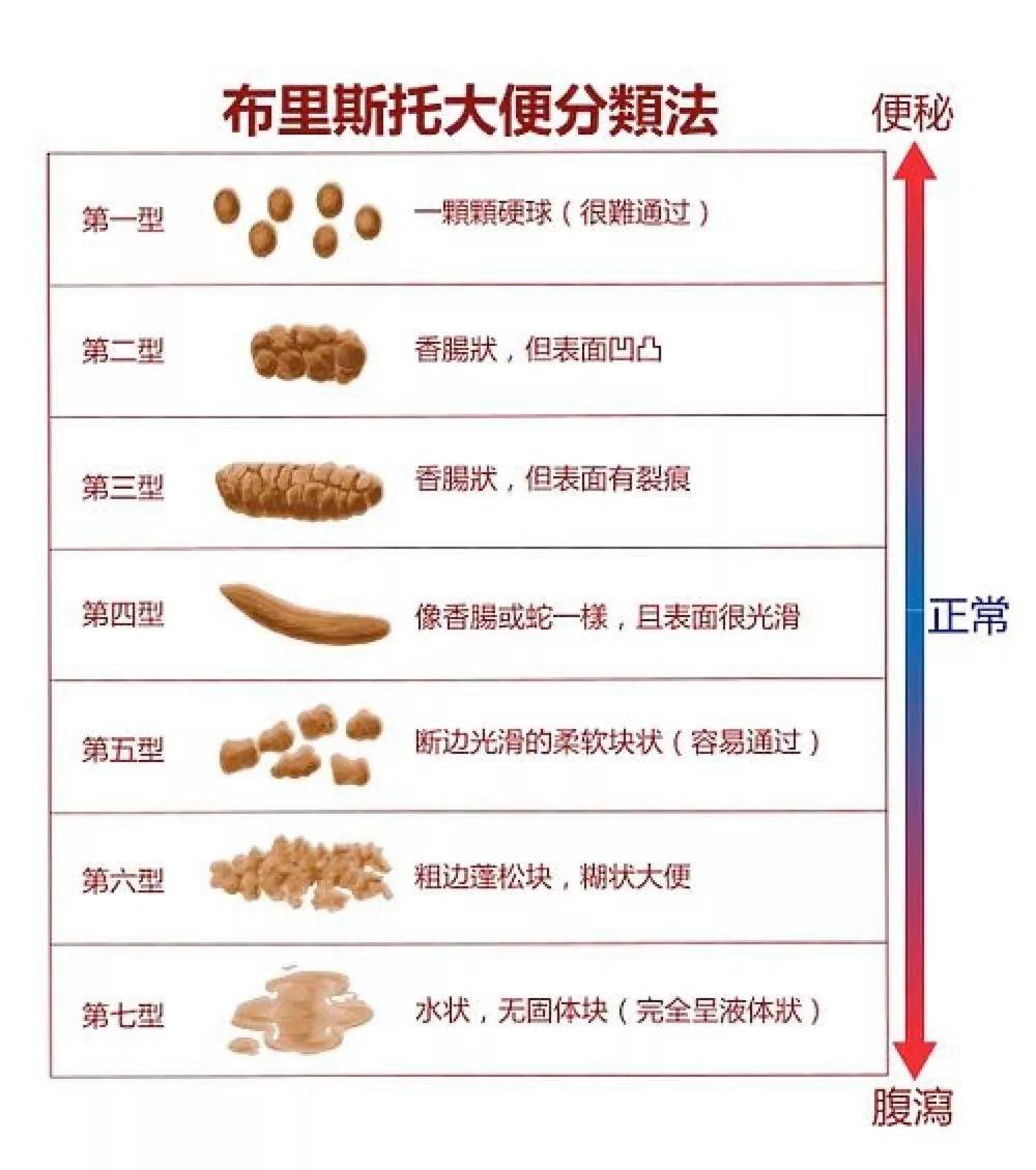 半个月都拉稀便是否正常，深度解析与应对建议